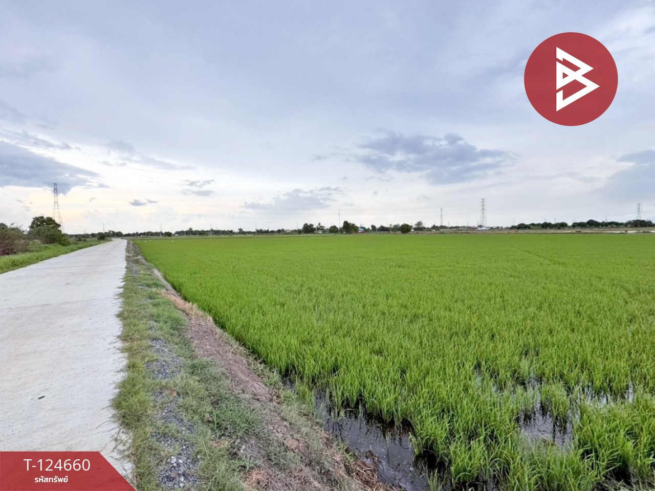 ขายที่ดิน เนื้อที่ 30 ไร่ บางน้ำเปรี้ยว ฉะเชิงเทรา