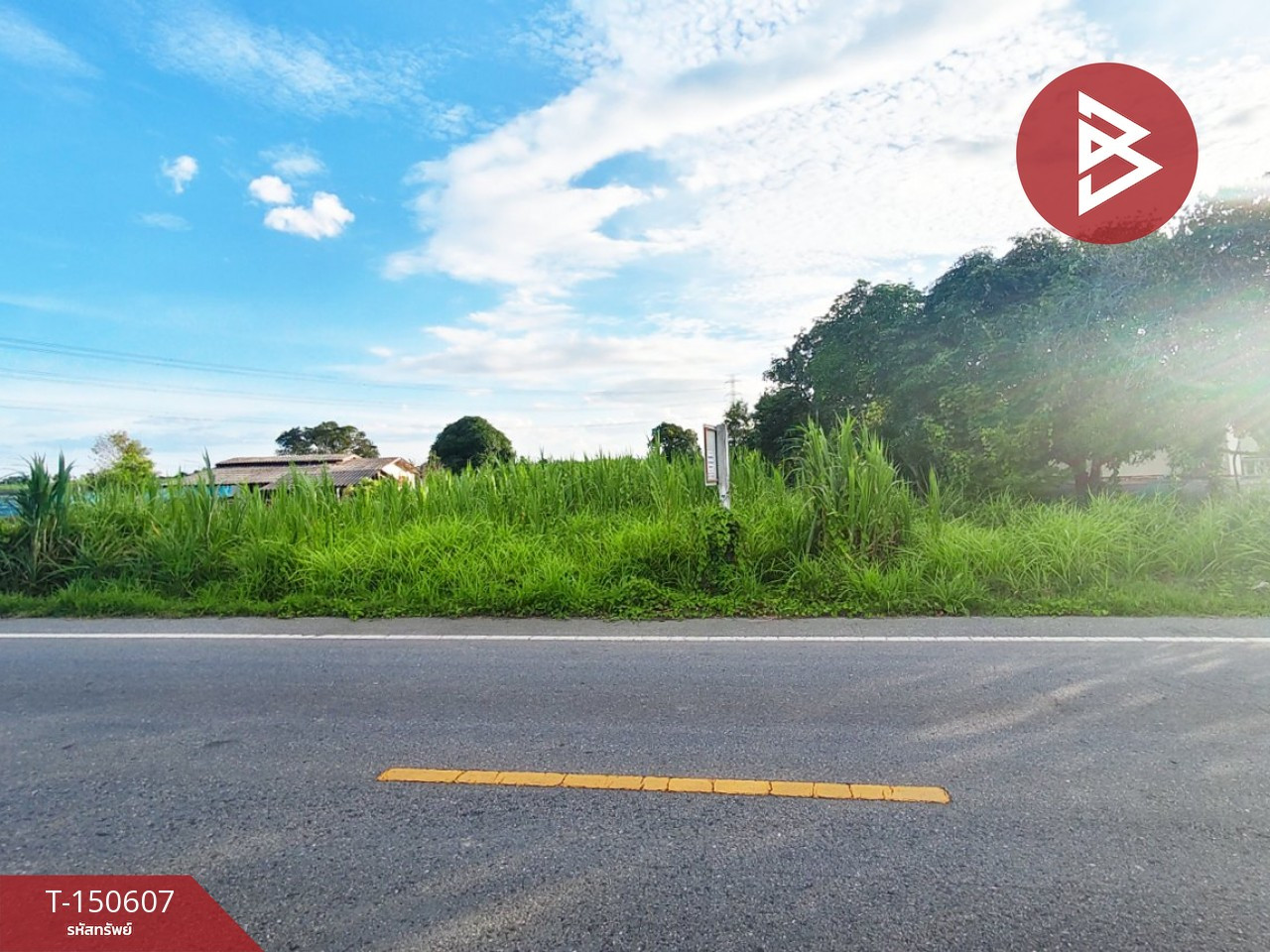 ขายที่ดิน เนื้อที่ 4 ไร่ 3 งาน 34.9 ตร.วา บ้านยาง นครปฐม