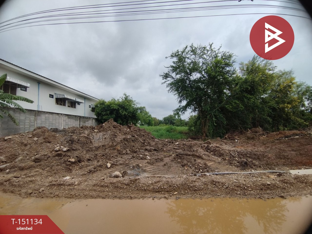 ขายที่ดิน เนื้อที่ 2 ไร่ คลองสิบ ต.บึงบา อ.หนองเสือ จ.ปทุมธานี