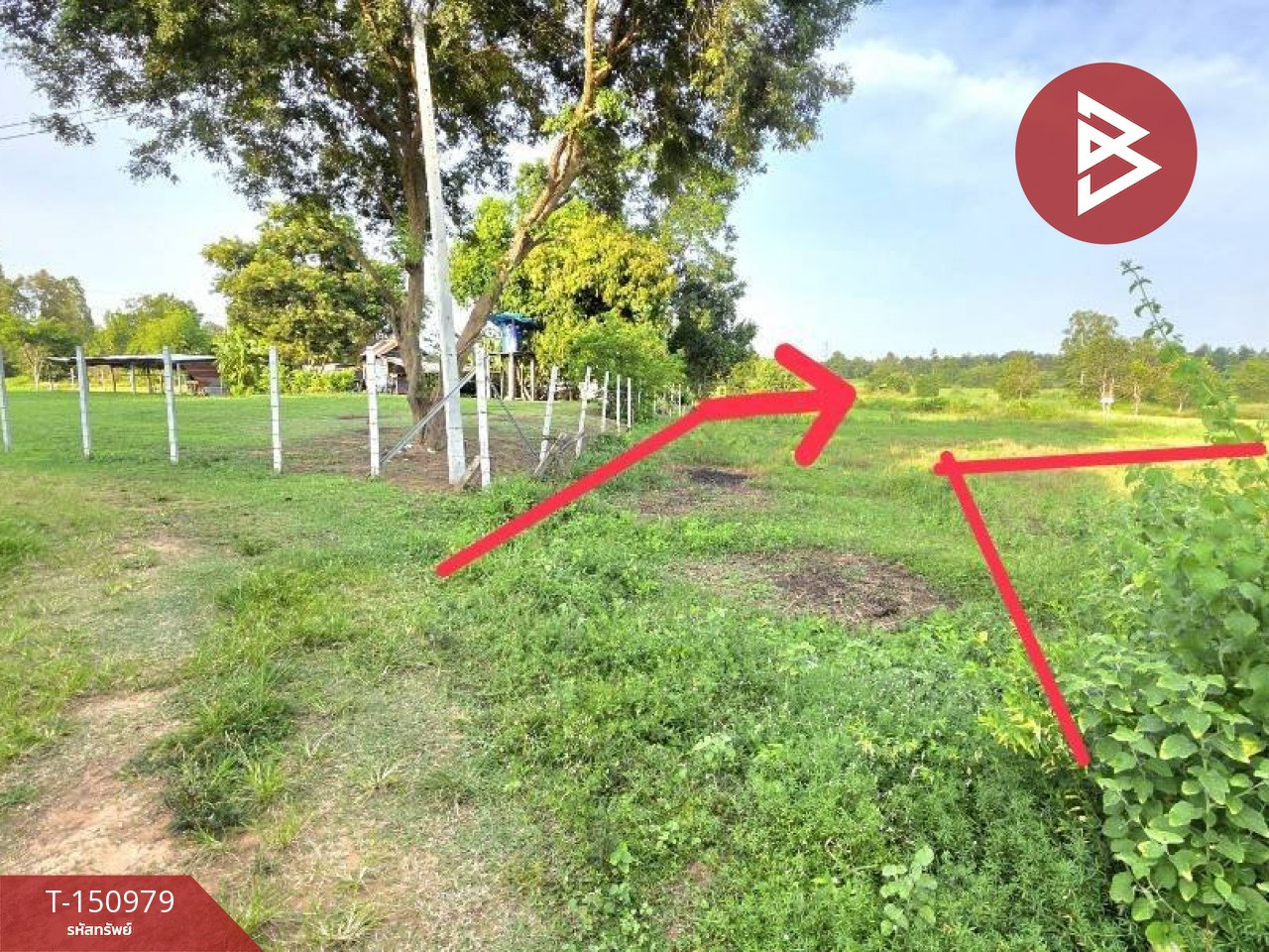 ขายที่ดิน เนื้อที่ 12 ไร่ 1 งาน 61.4 ตร.วา บรบือ มหาสารคาม