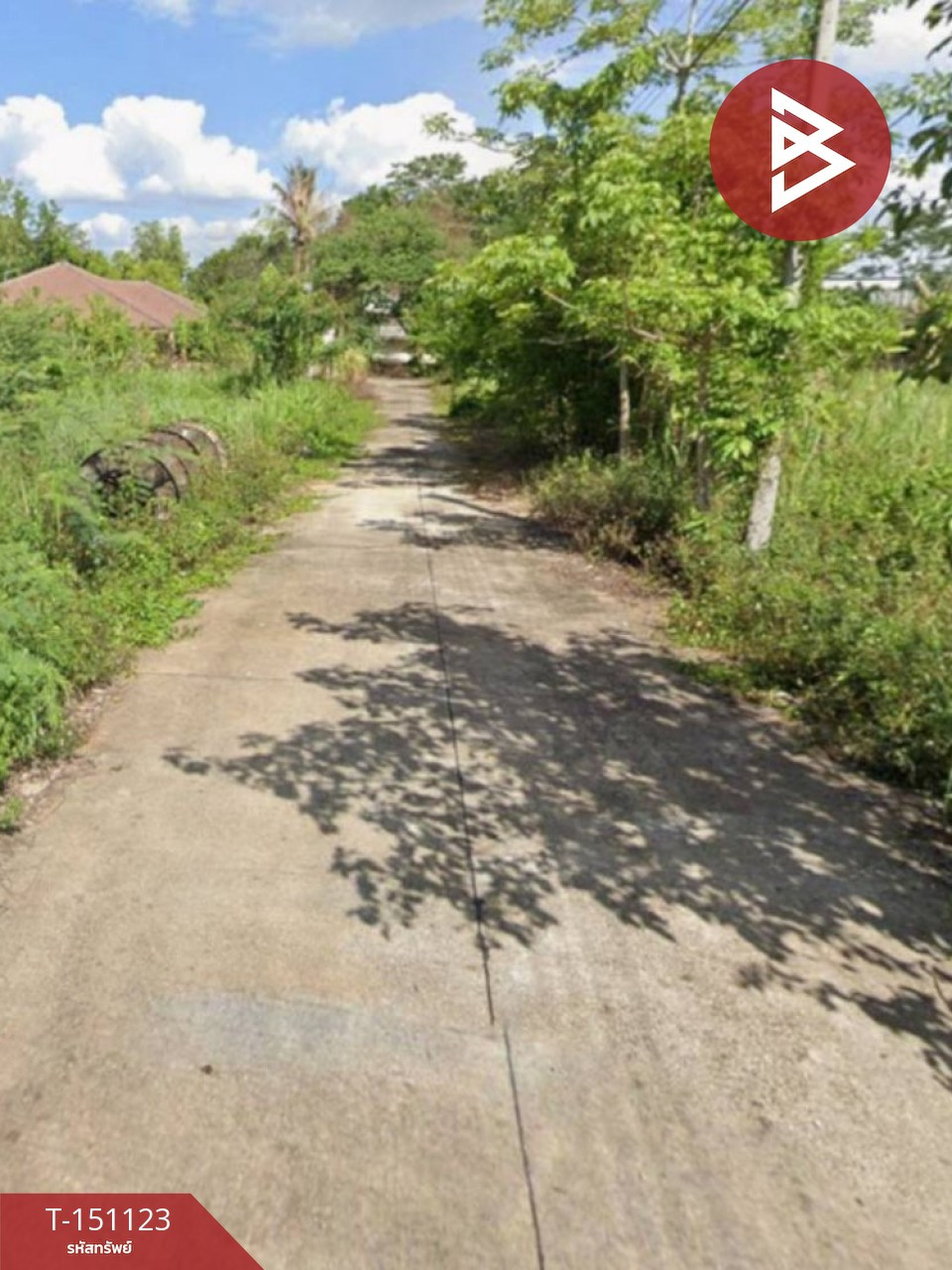 ขายที่ดิน เนื้อที่ 100 ตร.วา บ้านดู่ เชียงราย