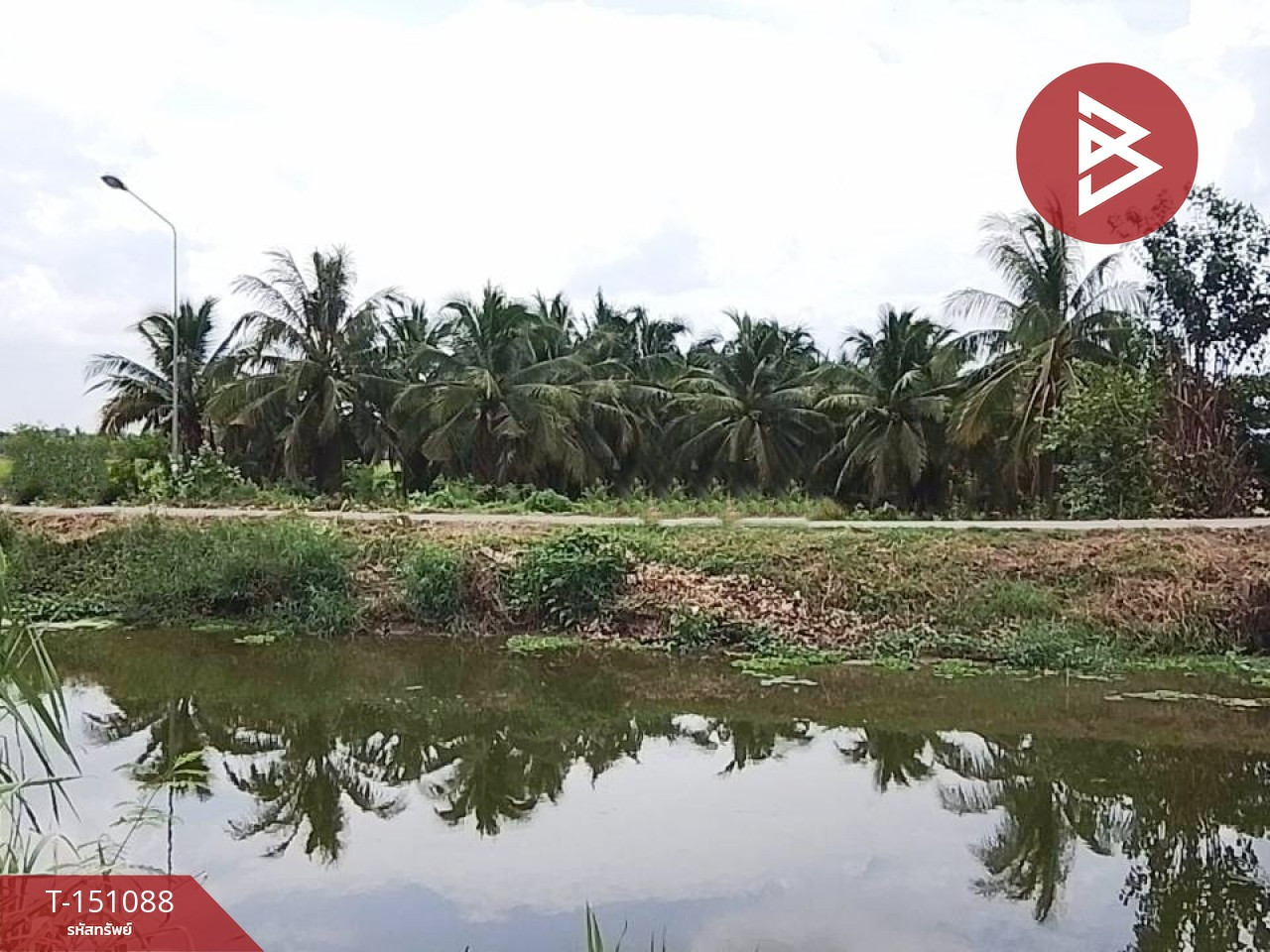 ขายที่ดิน เนื้อที่ 5 ไร่ 51 ตร.วา ปากท่อ ราชบุรี