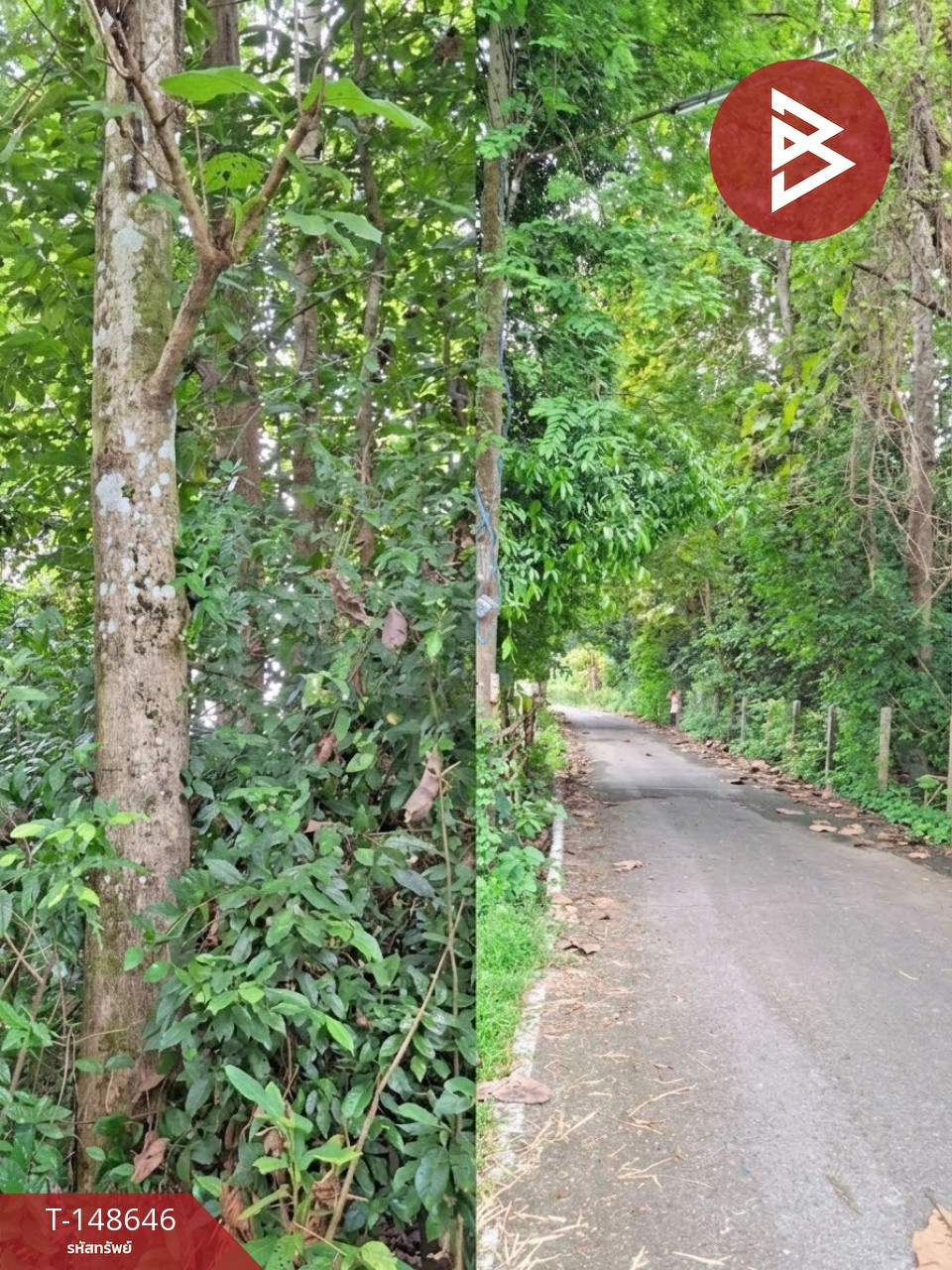 ขายที่ดิน เนื้อที่ 3 งาน 60.5 ตร.วา ปากพลี นครนายก