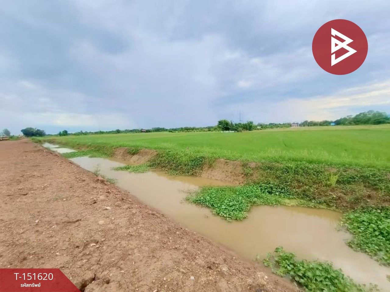 ขายที่ดิน เนื้อที่ 2 ไร่ 2 งาน บ้านเกาะ อุตรดิตถ์