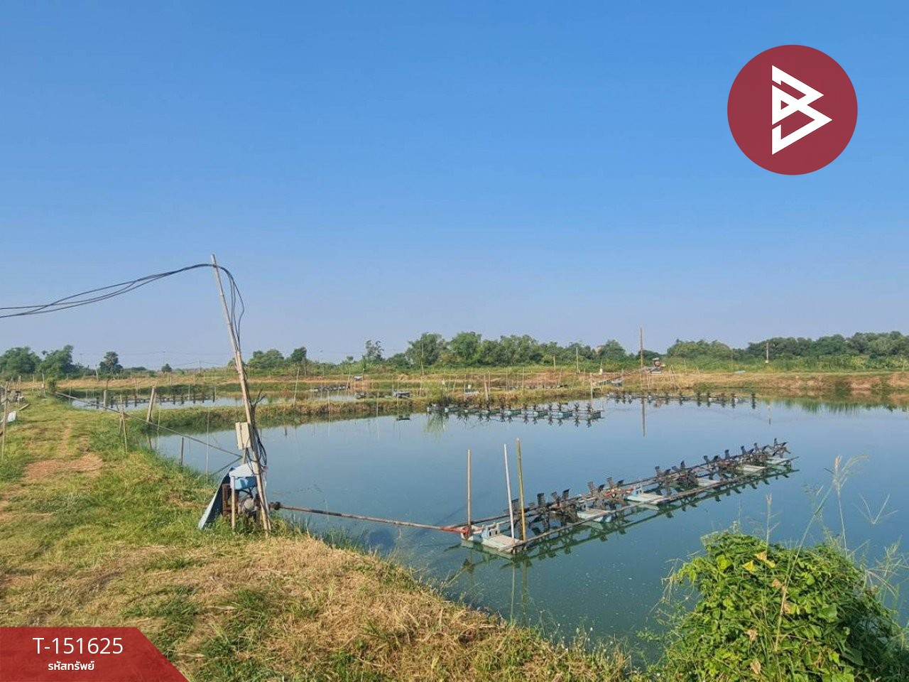 ขายที่ดิน เนื้อที่ 14 ไร่ 44 ตร.วา บ้านสร้าง ปราจีนบุรี