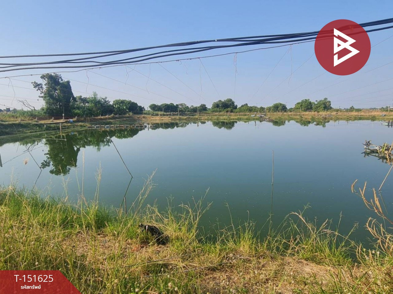 ขายที่ดิน เนื้อที่ 14 ไร่ 44 ตร.วา บ้านสร้าง ปราจีนบุรี