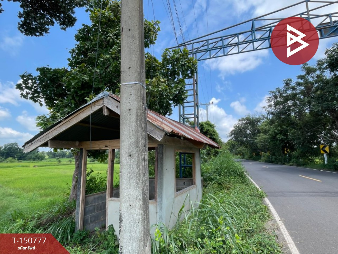 ขายที่ดิน เนื้อที่ 5 ไร่ นายม อำนาจเจริญ