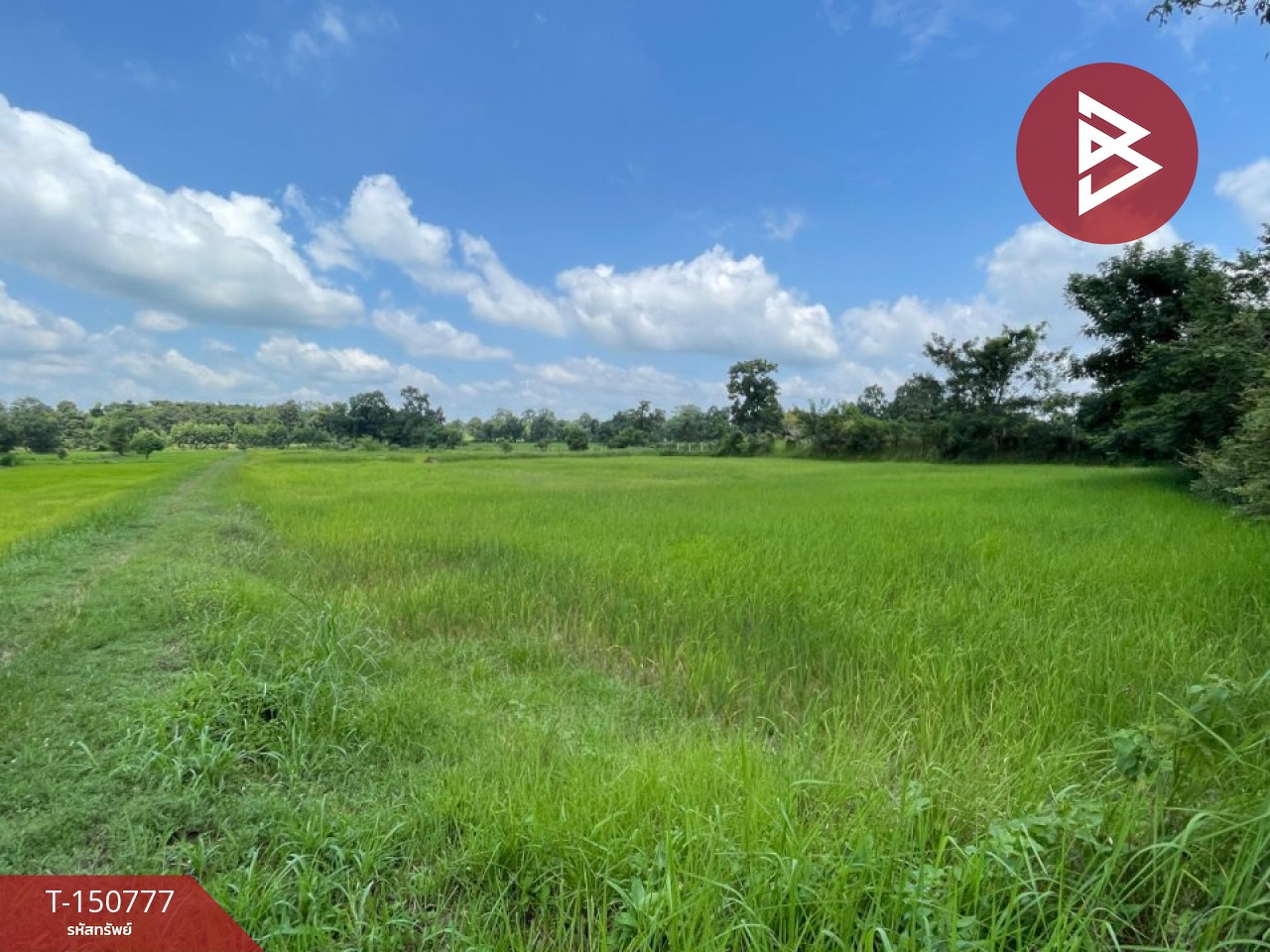 ขายที่ดิน เนื้อที่ 5 ไร่ นายม อำนาจเจริญ