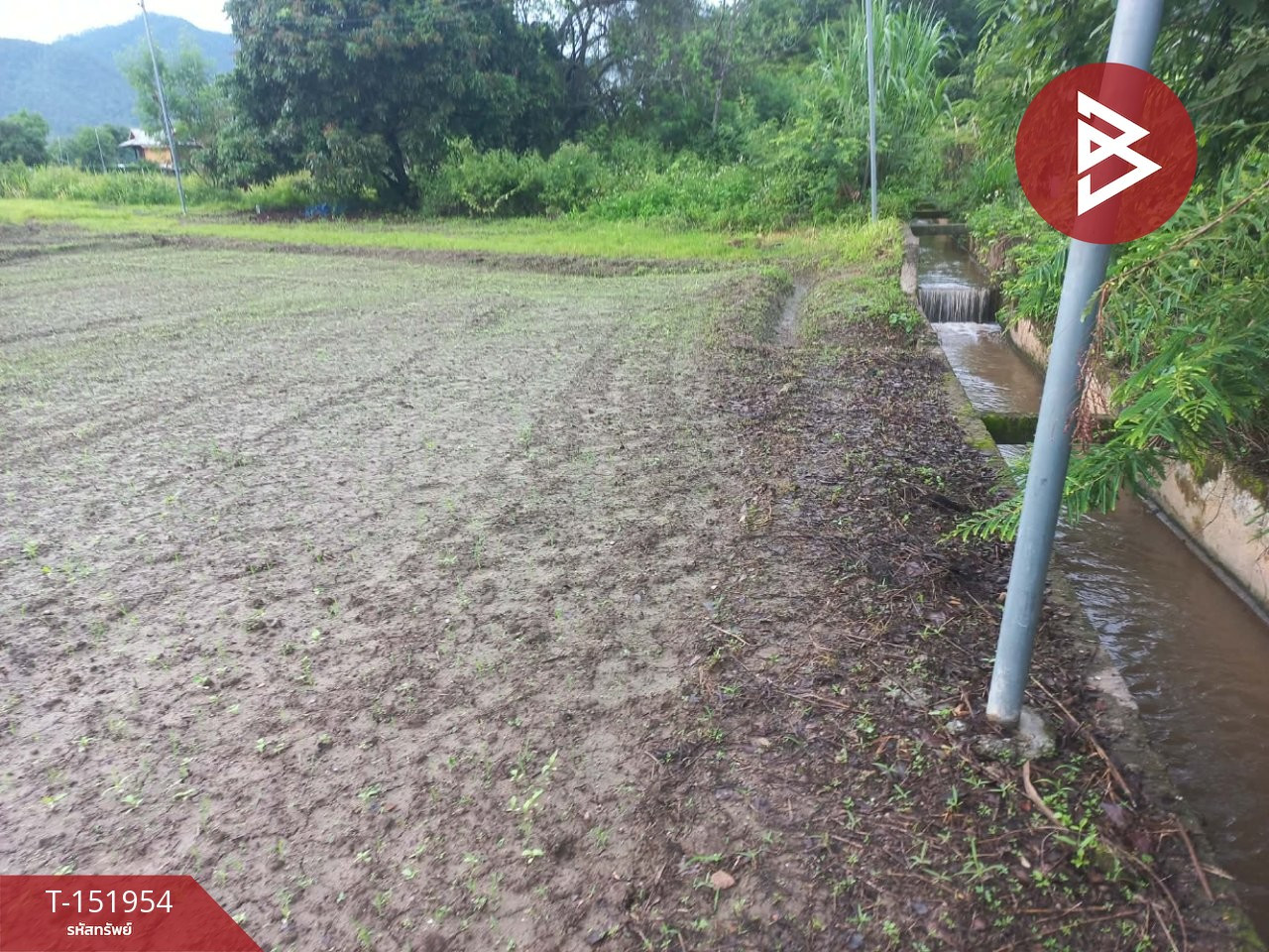 ขายที่ดิน เนื้อที่ 1 ไร่ 64 ตร.วา ปาย แม่ฮ่องสอน