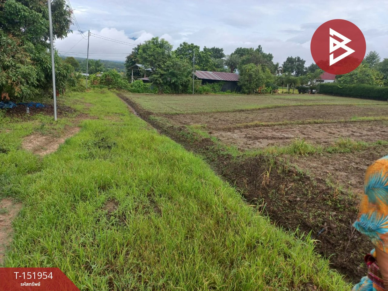 ขายที่ดิน เนื้อที่ 1 ไร่ 64 ตร.วา ปาย แม่ฮ่องสอน