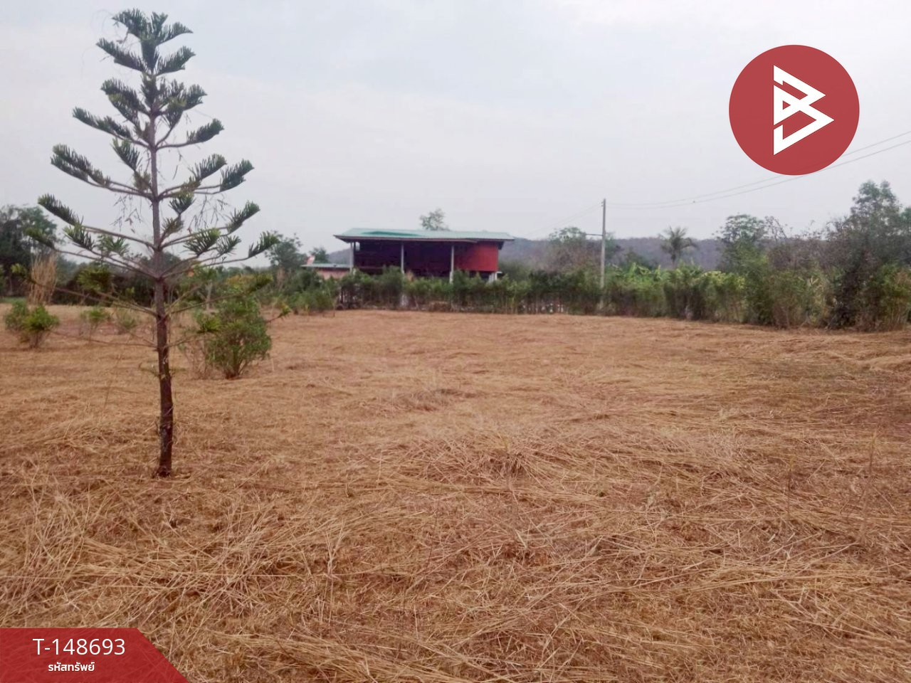 ขายที่ดิน เนื้อที่ 3 ไร่ 16.2 ตร.วา หนองปลาไหล สระบุรี