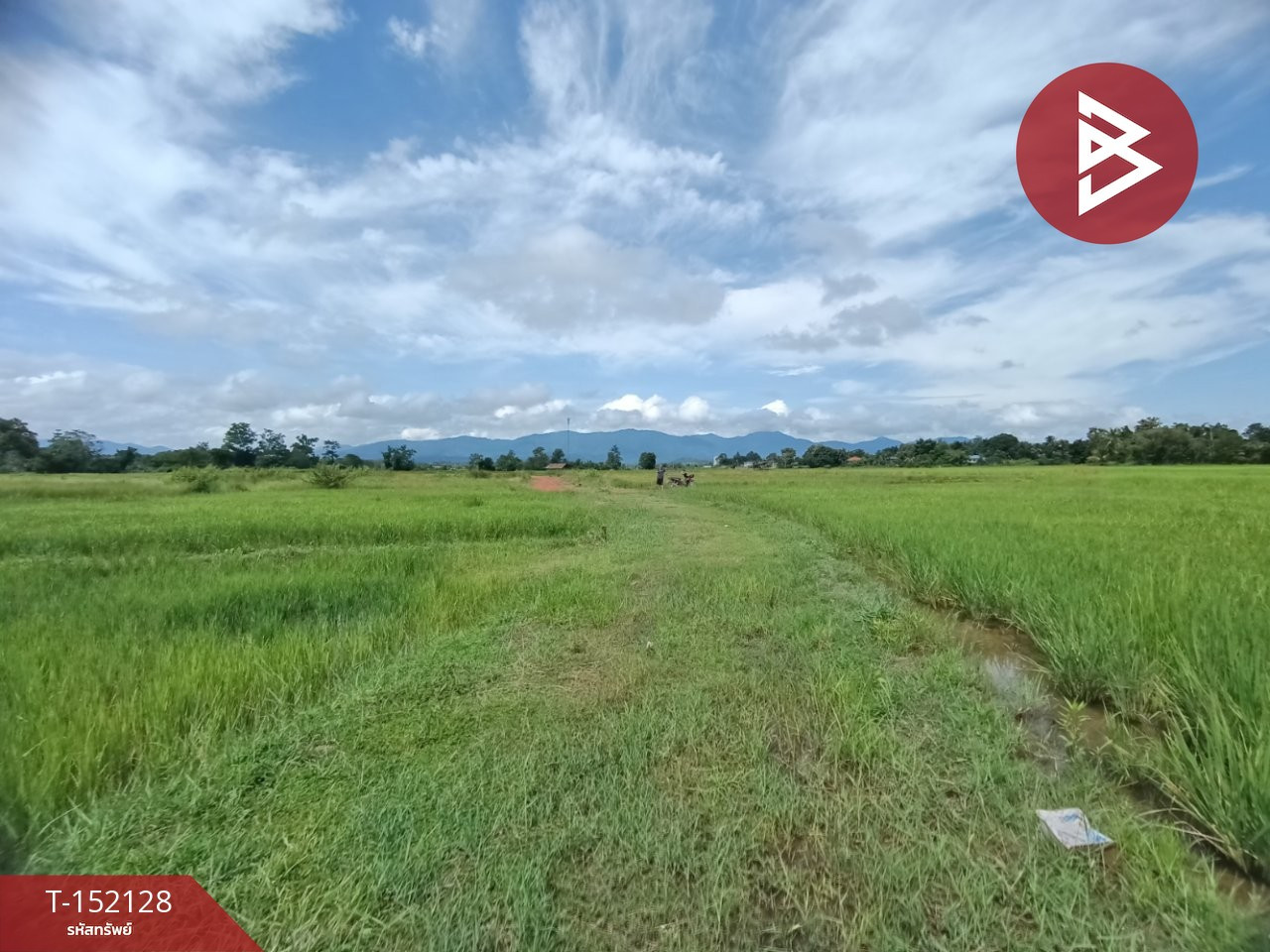ขายที่ดิน เนื้อที่ 3 งานไชยสถาน น่าน