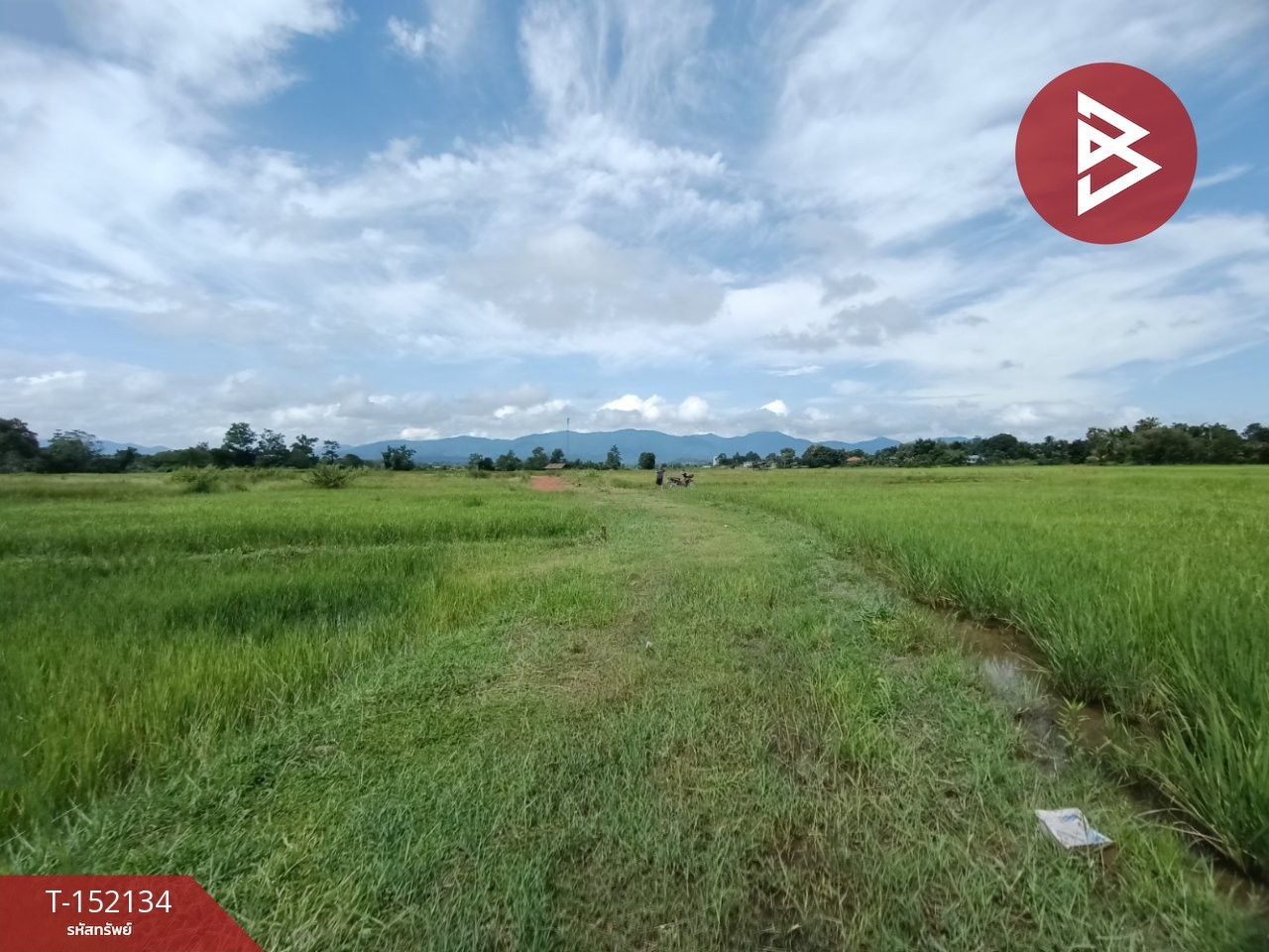 ขายที่ดิน เนื้อที่ 2 งาน 88 ตร.วา ไชยสถาน น่าน