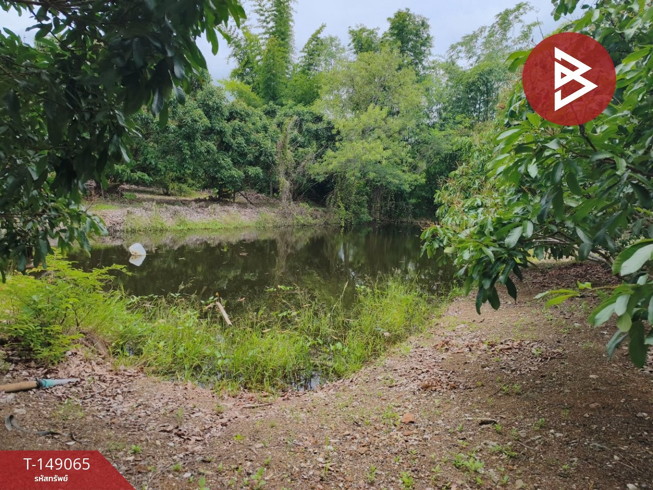 ขายที่ดินสวนลำไยพร้อมบ้านไม้สไตล์รีสอร์ท เนื้อที่ 3 ไร่ 21 ตร.วา จันทบุรี ทำเลดี