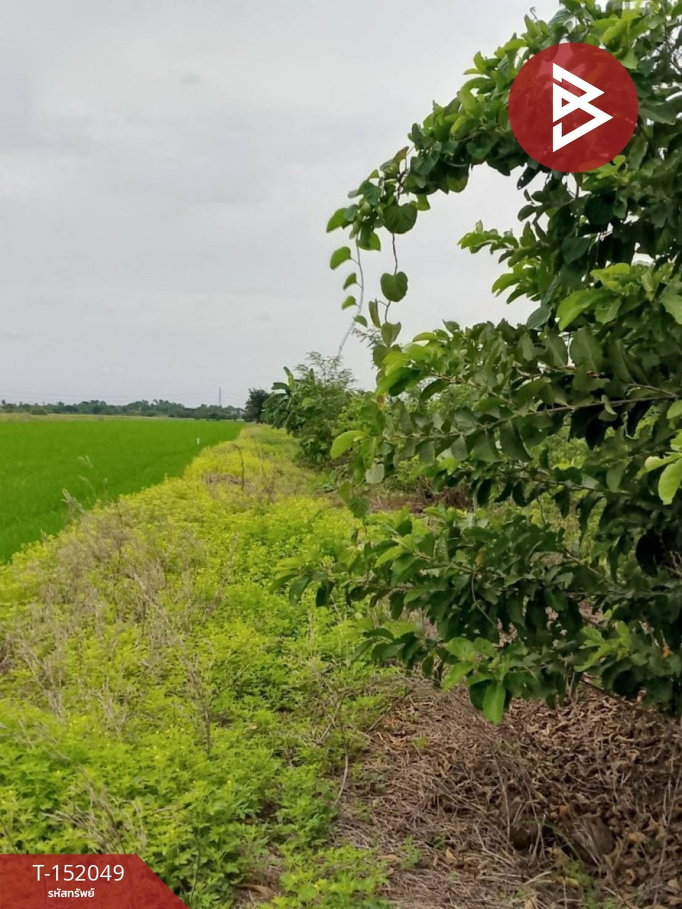 ขายที่ดิน เนื้อที่ 1 ไร่ ราษฎร์นิยม นนทบุรี