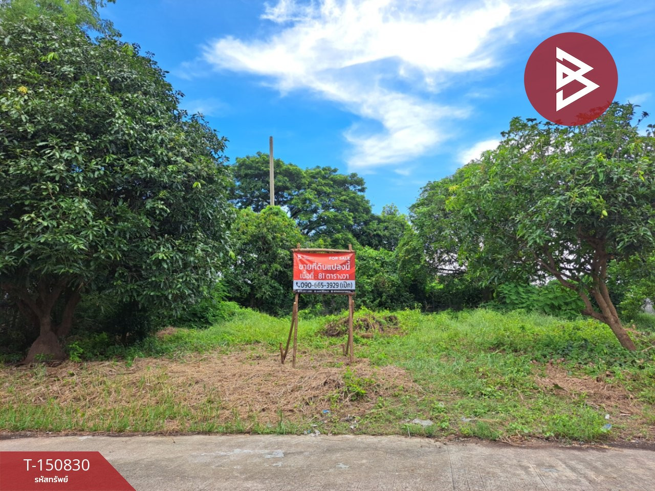 ขายที่ดิน เนื้อที่ 81 ตร.วา พุทธมณฑล นครปฐม ทำเลดี ใกล้เซ็นทรัลศาลายา