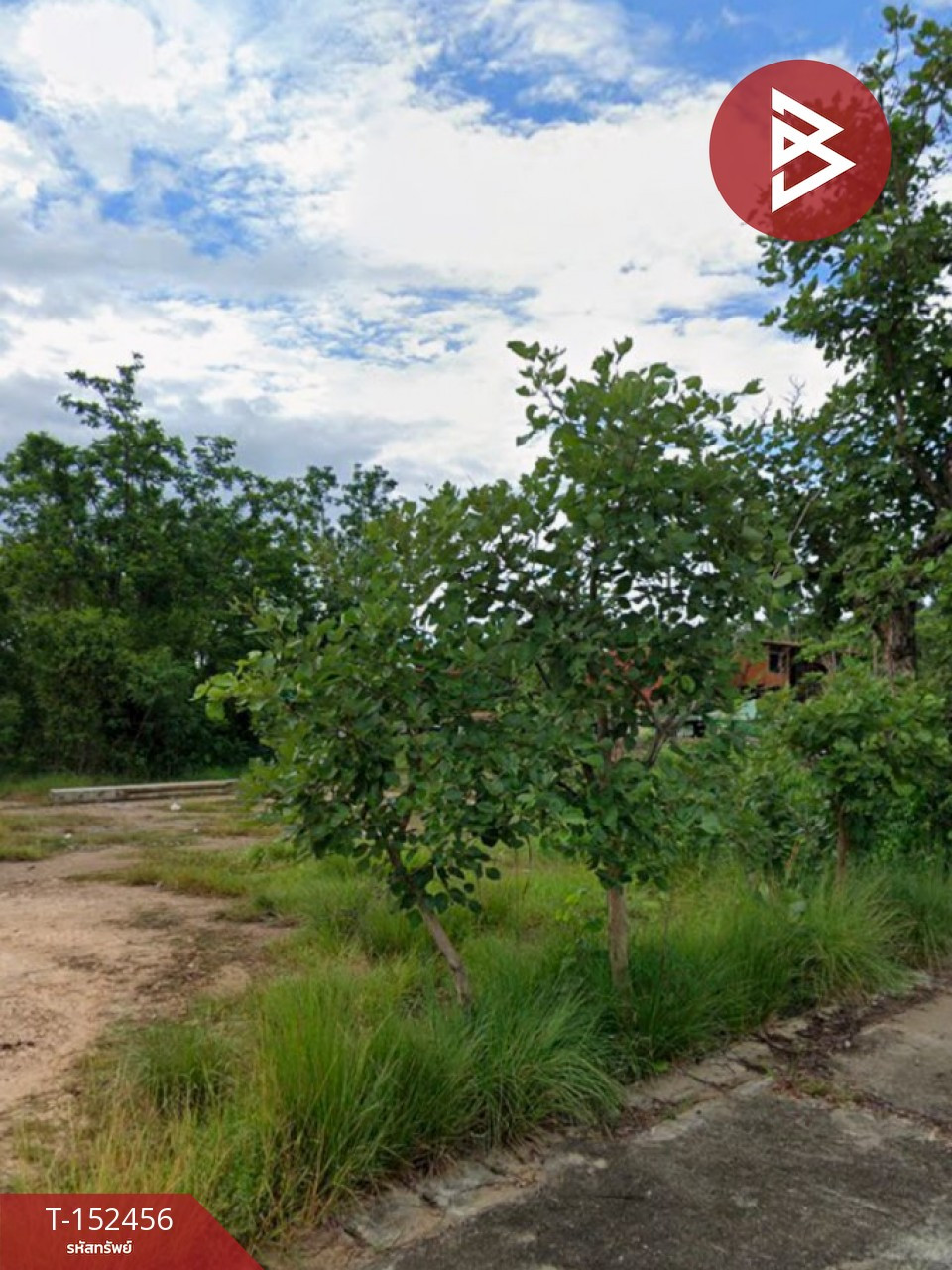 ขายที่ดิน เนื้อที่ 1 งาน 13 ตร.วา บ้านธิ ลำพูน