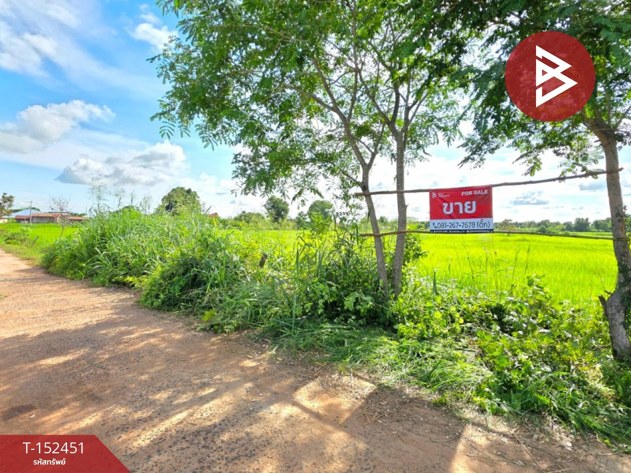 ขายที่ดิน เนื้อที่ 5 ไร่ 1 งาน 53.4 ตร.วา บรบือ มหาสารคาม