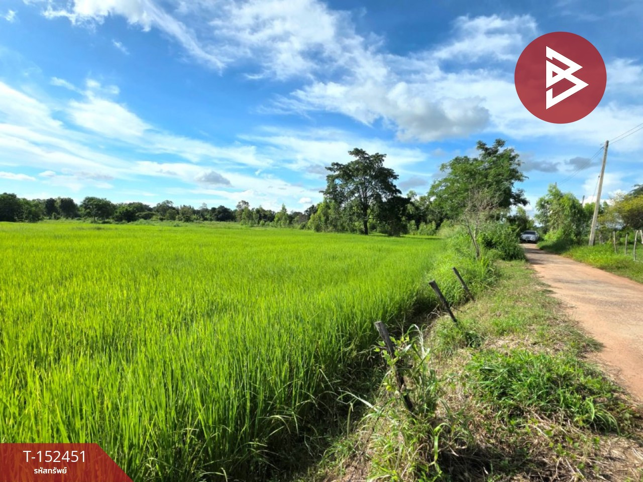 ขายที่ดิน เนื้อที่ 5 ไร่ 1 งาน 53.4 ตร.วา บรบือ มหาสารคาม
