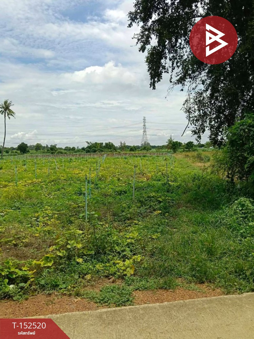 ขายที่ดิน เนื้อที่ 12 ไร่ 71 ตร.วา กำแพงแสน นครปฐม
