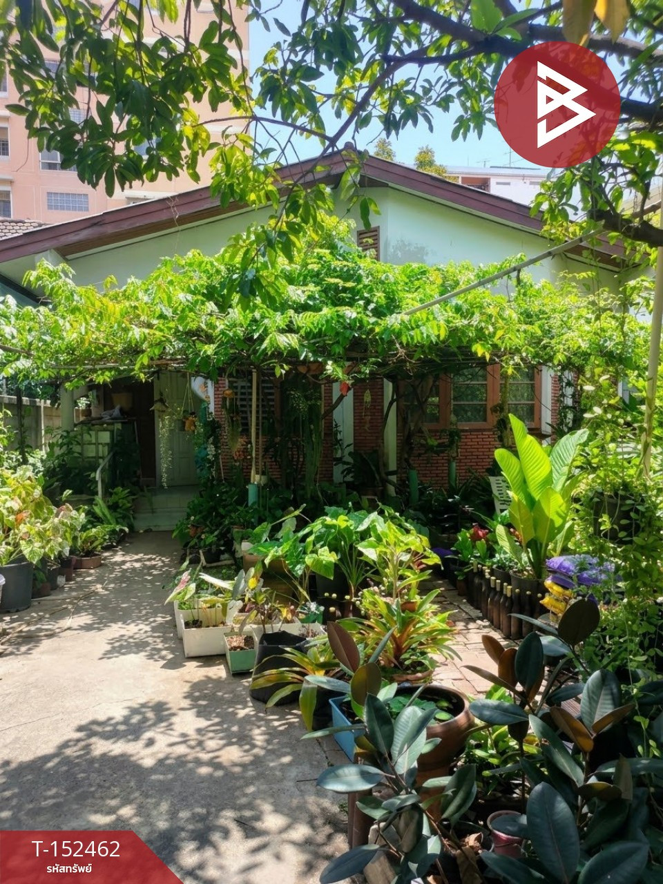 ขายบ้านเดี่ยว ซ.แบริ่ง26/2 เนื้อที่ 79 ตร.วา สำโรงเหนือ สมุทรปราการ