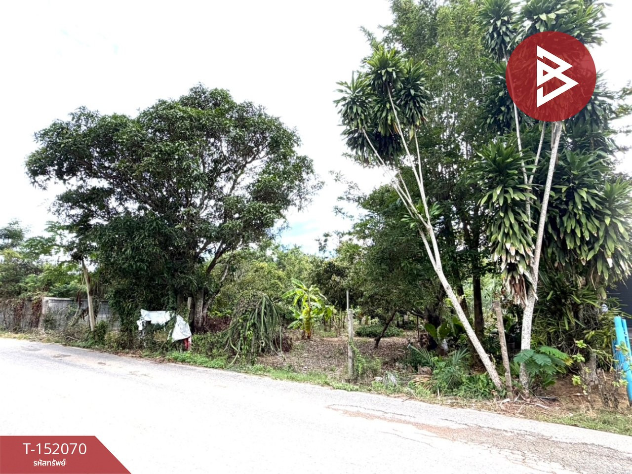 ขายที่ดิน เนื้อที่ 2 งาน สัตหีบ ชลบุรี