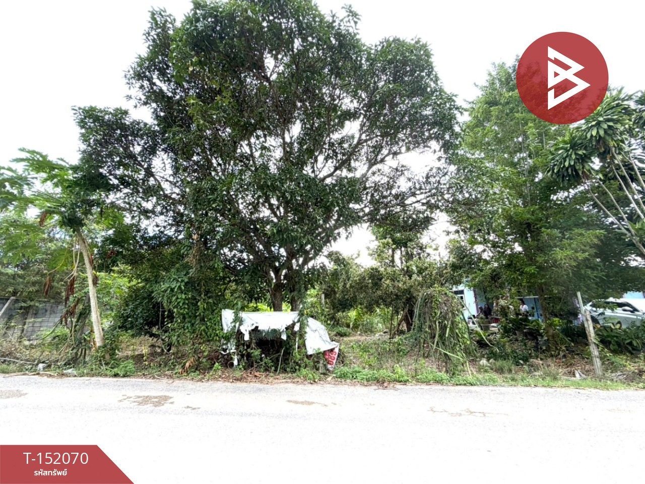ขายที่ดิน เนื้อที่ 2 งาน สัตหีบ ชลบุรี