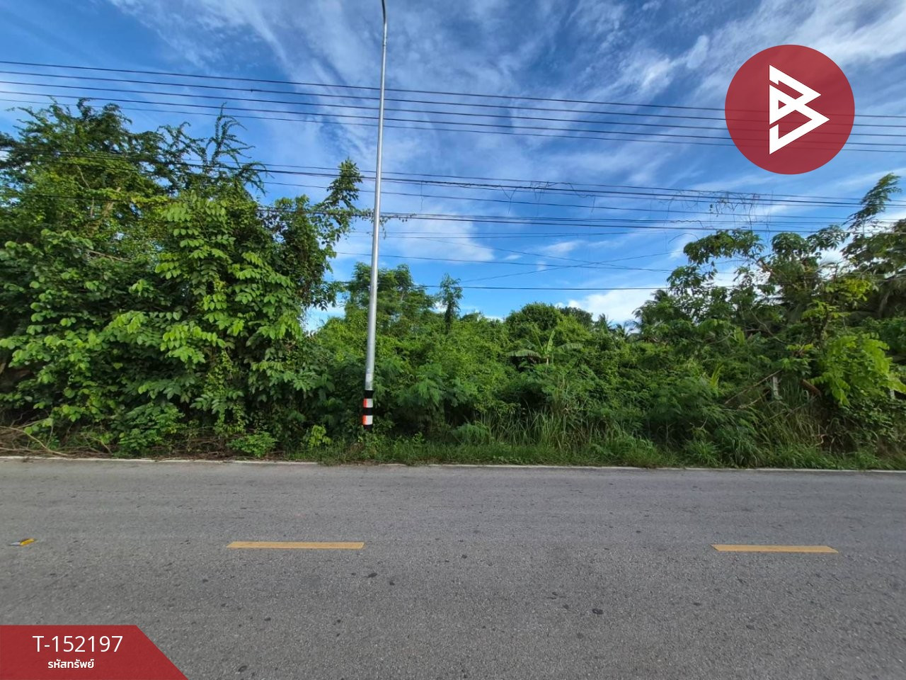 ขายที่ดิน เนื้อที่ 6 ไร่ 41 ตร.วา อัมพวา สมุทรสงคราม