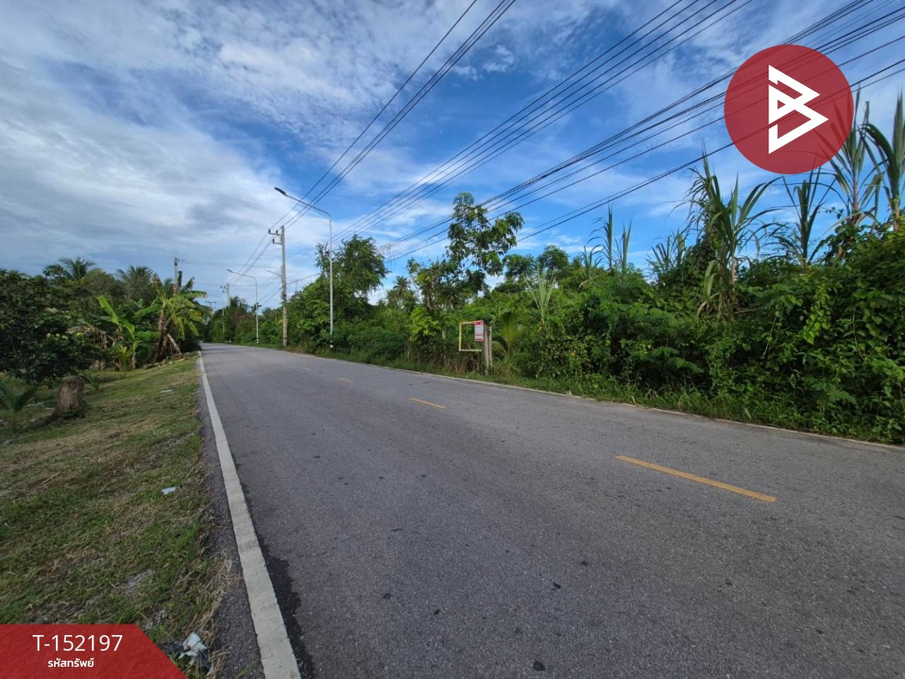 ขายที่ดิน เนื้อที่ 6 ไร่ 41 ตร.วา อัมพวา สมุทรสงคราม