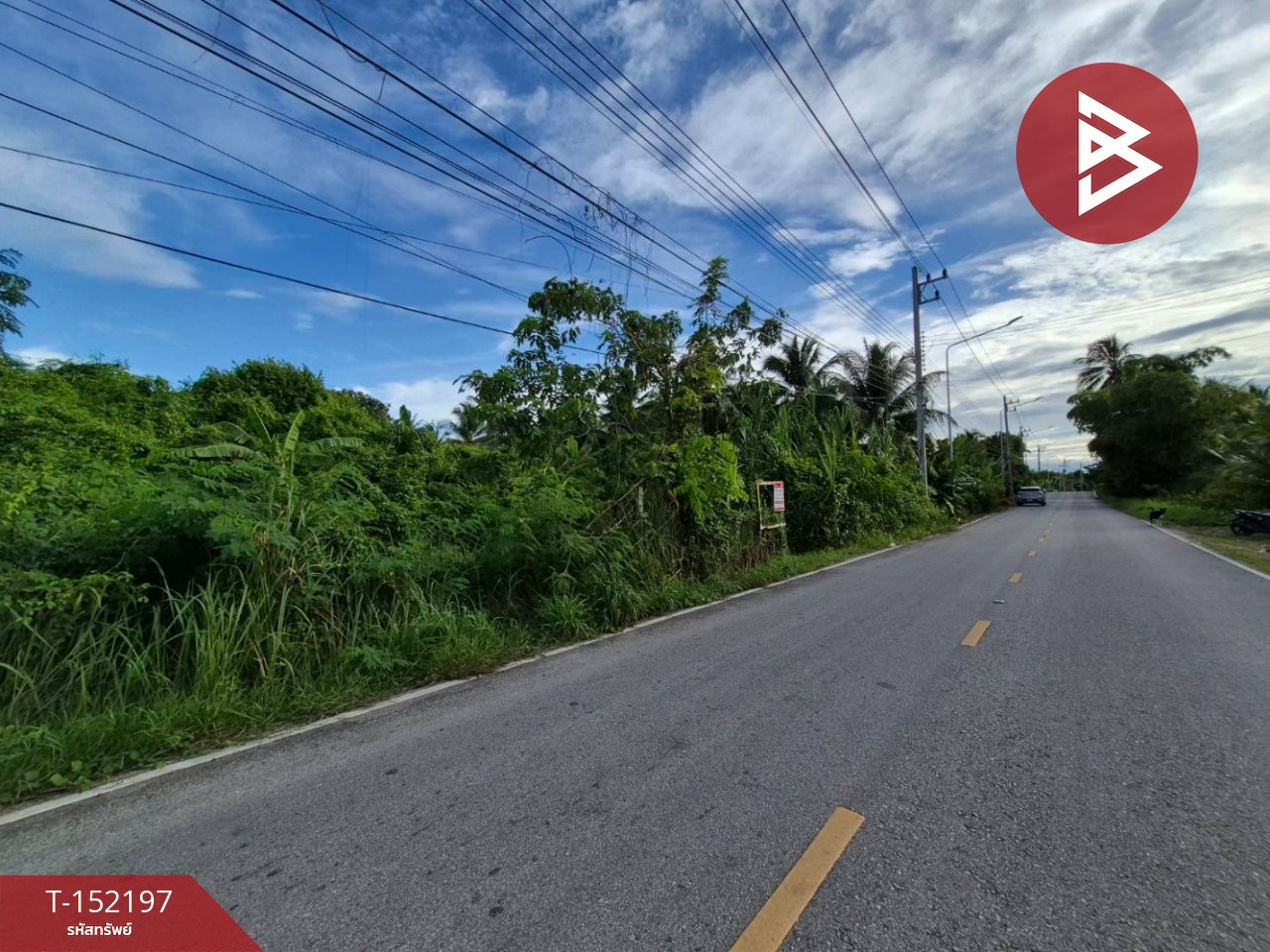ขายที่ดิน เนื้อที่ 6 ไร่ 41 ตร.วา อัมพวา สมุทรสงคราม
