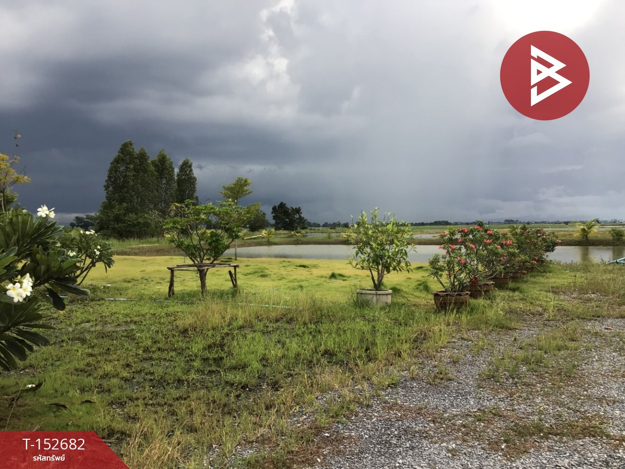 ขายที่ดิน เนื้อที่ 4 ไร่ บางปลาม้า สุพรรณบุรี