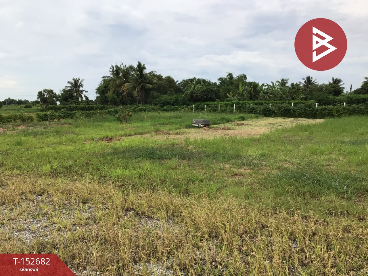 ขายที่ดิน เนื้อที่ 4 ไร่ บางปลาม้า สุพรรณบุรี