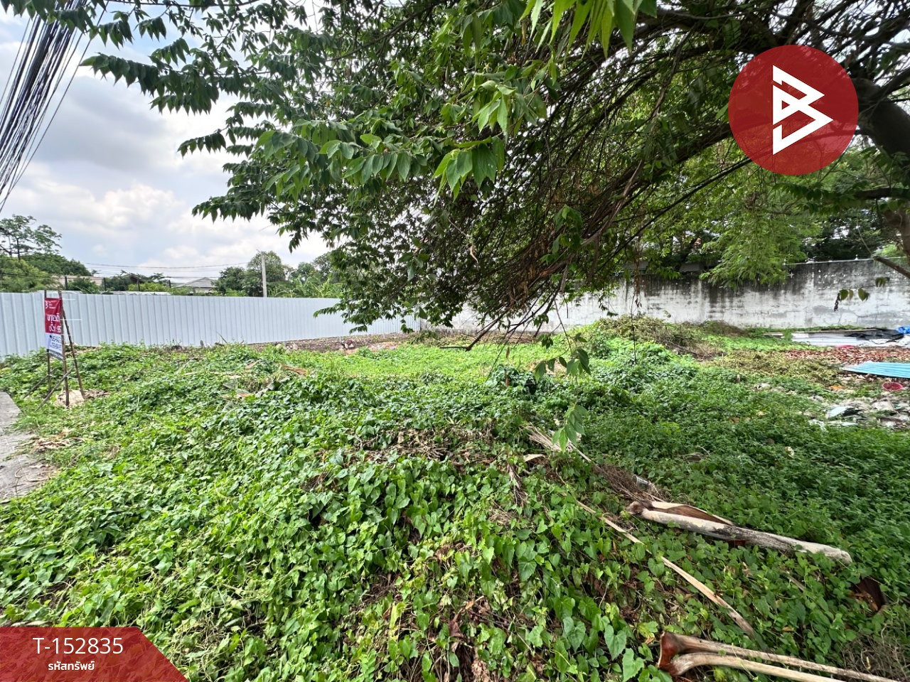 ขายที่ดิน เนื้อที่ 95 ตร.วา บางเขน กรุงเทพมหานคร
