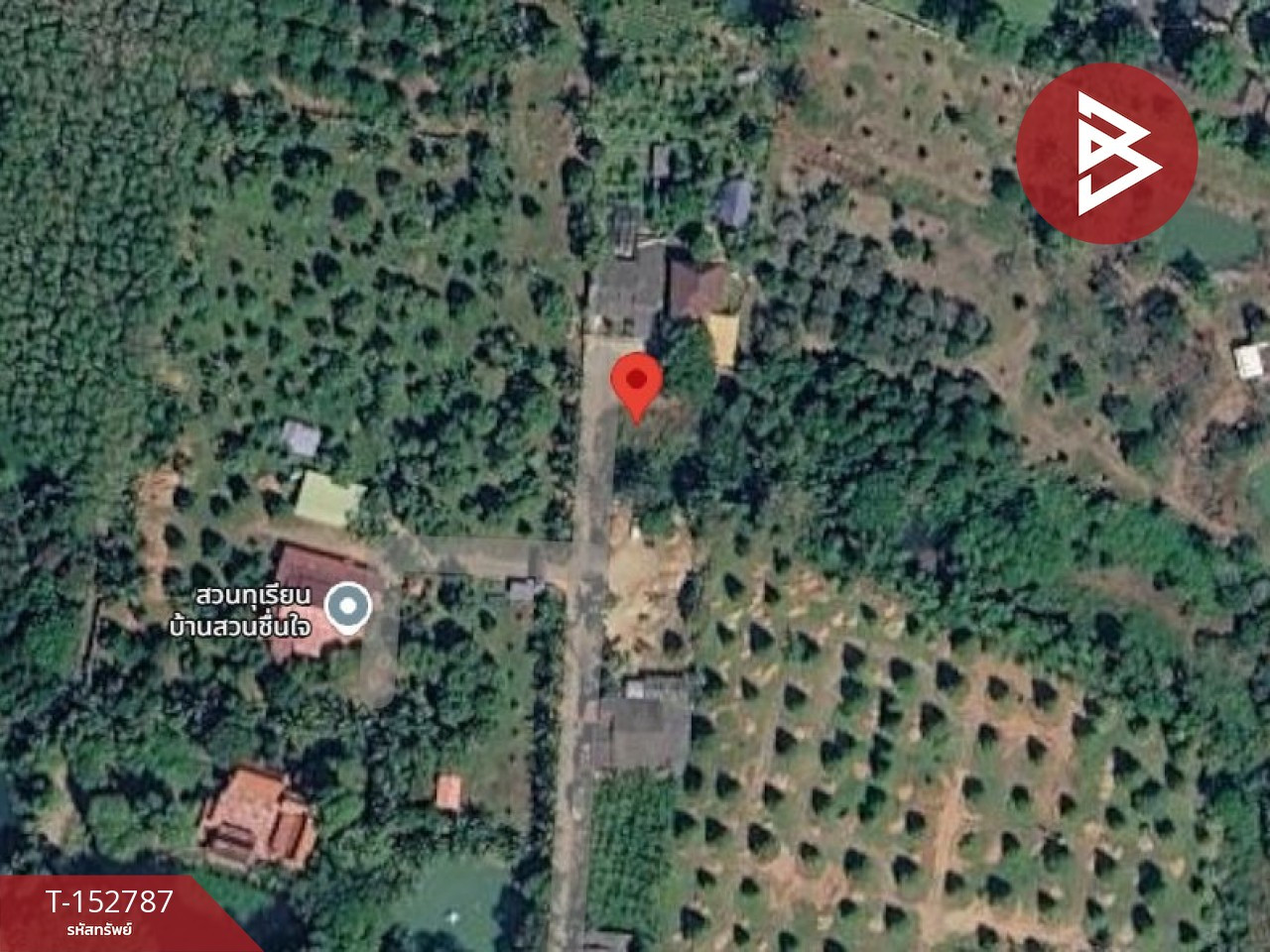 ขายที่ดิน เนื้อที่ 2 งาน แกลง ระยอง
