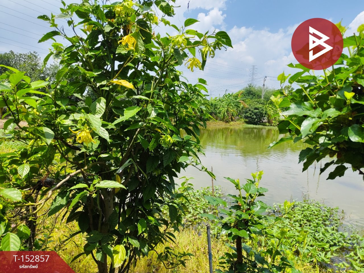 ขายที่ดิน เนื้อที่ 2 ไร่ บางพลี สมุทรปราการ