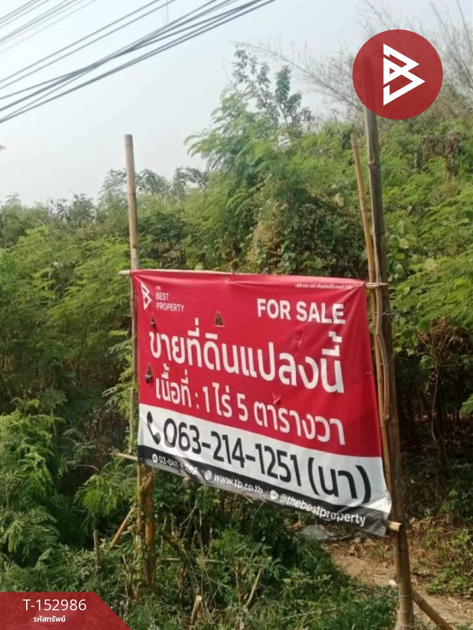 ขายที่ดิน เนื้อที่ 1 ไร่ 5 ตร.วา บ้านโฮ่ง ลำพูน