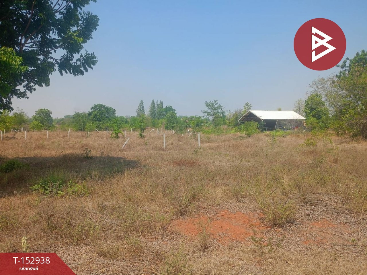 ขายที่ดิน เนื้อที่ 1 งาน 50 ตร.วา บ้านหว้า ขอนแก่น