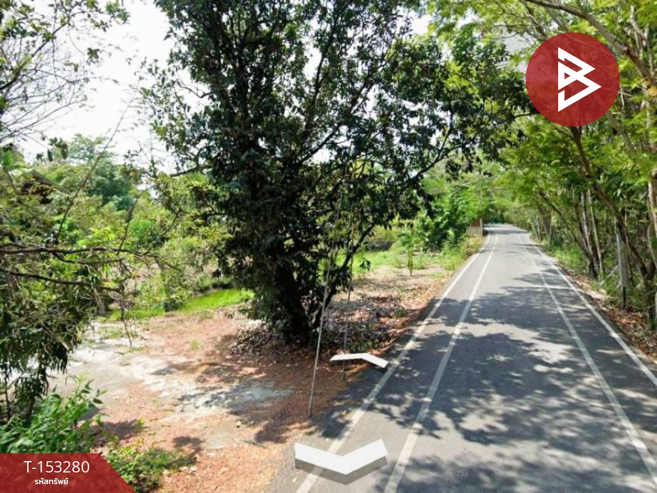 ขายที่ดิน เนื้อที่ 233 ตร.วา เพชรหึงษ์ 28 พระประแดง สมุทรปราการ วิถีธรรมชาติใกล้เมือง