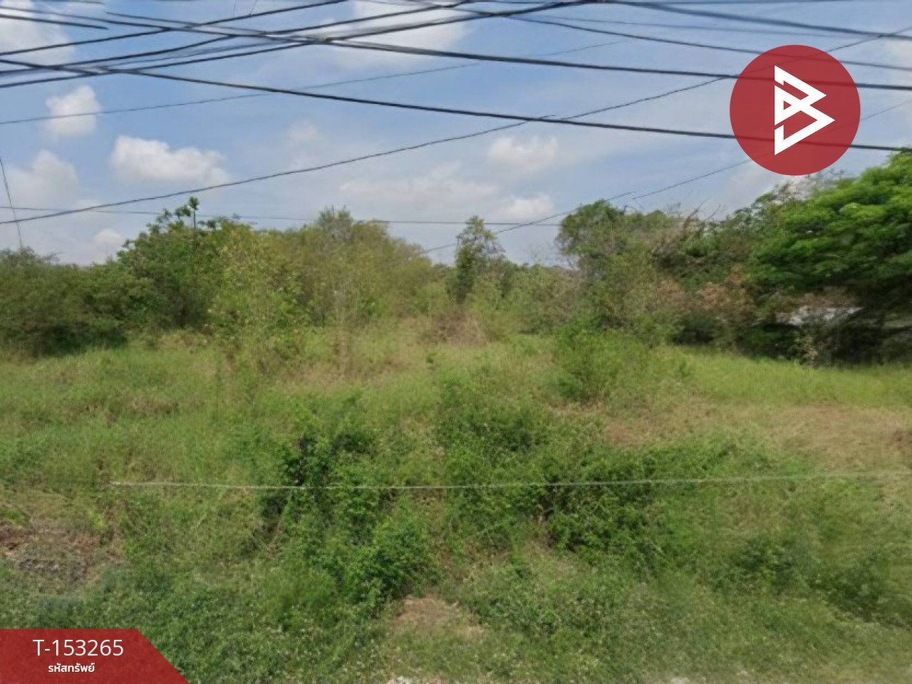 ขายที่ดิน เนื้อที่ 1 งาน 11 ตร.วา ไผ่ลิง พระนครศรีอยุธยา