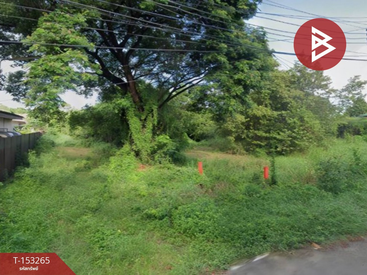 ขายที่ดิน เนื้อที่ 1 งาน 11 ตร.วา ไผ่ลิง พระนครศรีอยุธยา