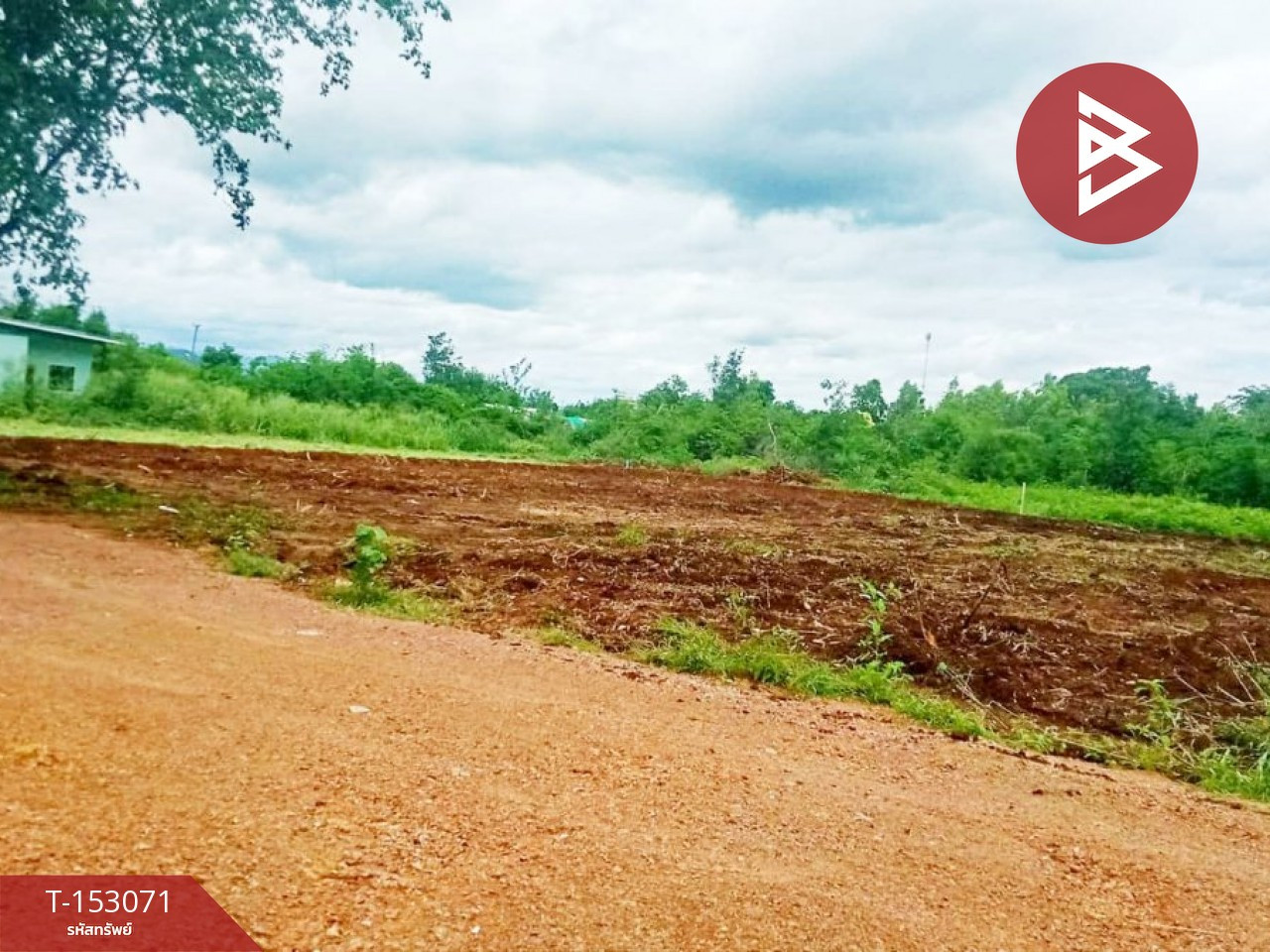 ขายถูกที่ดิน เนื้อที่ 163.4 ตร.วา หนองบัว ทำเลดี ใกล้ราชภัฏกาญจนบุรี