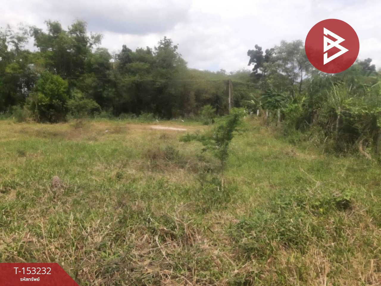 ขายที่ดิน เนื้อที่ 1 งาน พานทอง ชลบุรี