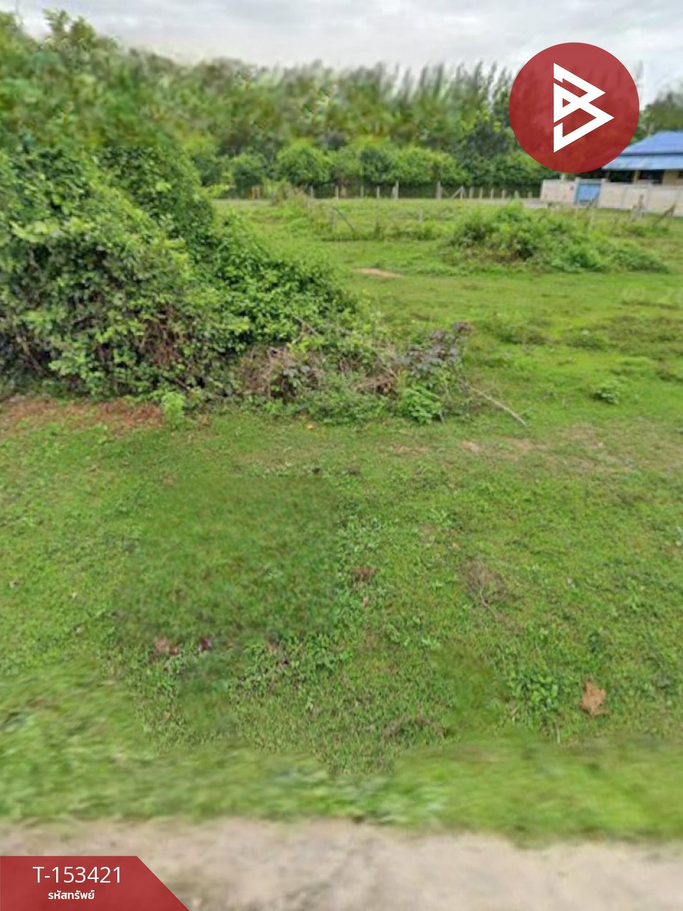 ขายที่ดิน เนื้อที่ 1 งาน นาวุ้ง เพชรบุรี
