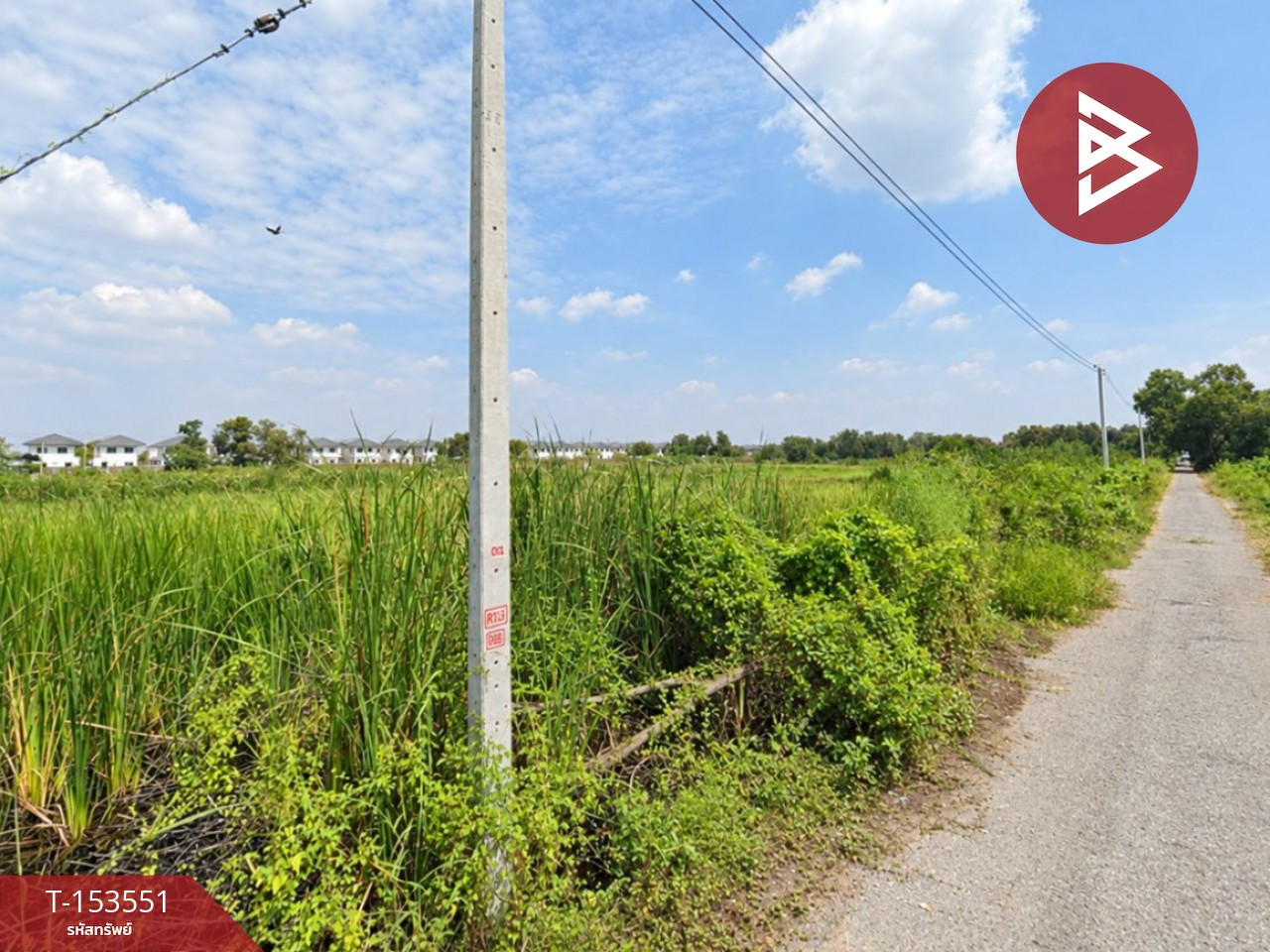 ขายที่ดิน เนื้อที่ 2 งาน 58 ตร.วา คลองสอง ปทุมธานี