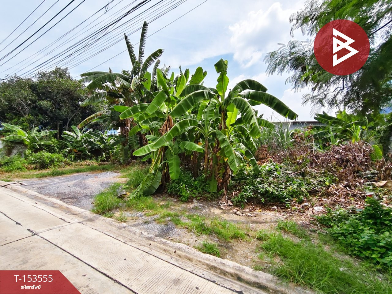 ขายที่ดิน เนื้อที่ 96 ตร.วา ประชาอุทิศ 54 ทุ่งครุ กรุงเทพฯ