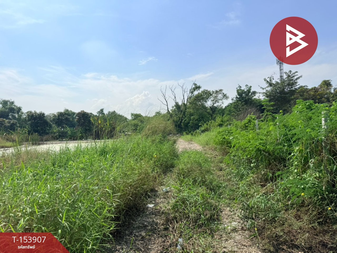 ขายที่ดิน เนื้อที่ 1 งาน บางเขน กรุงเทพมหานคร