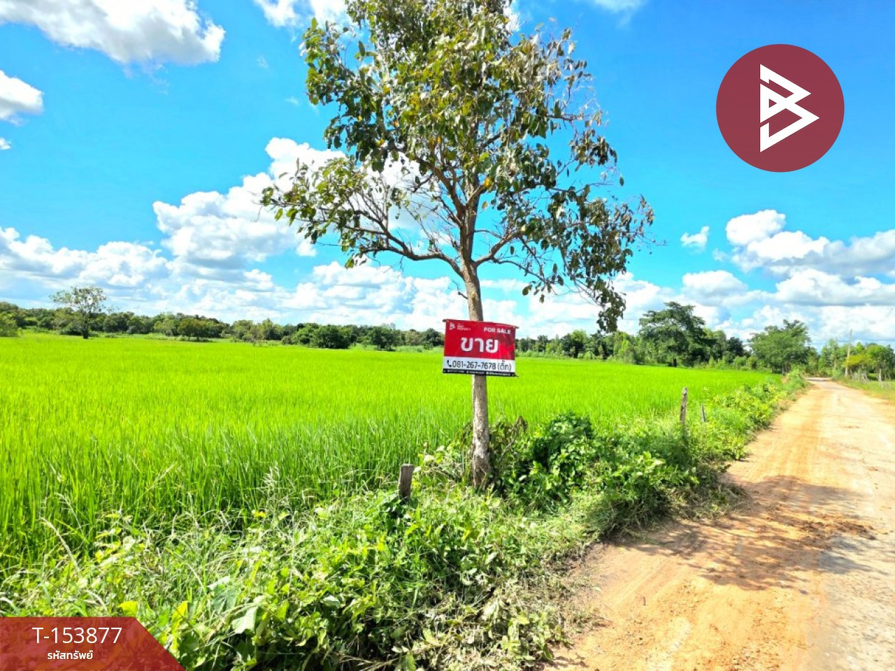 ขายที่ดิน เนื้อที่ 2 ไร่ 7.9 ตร.วา บรบือ มหาสารคาม