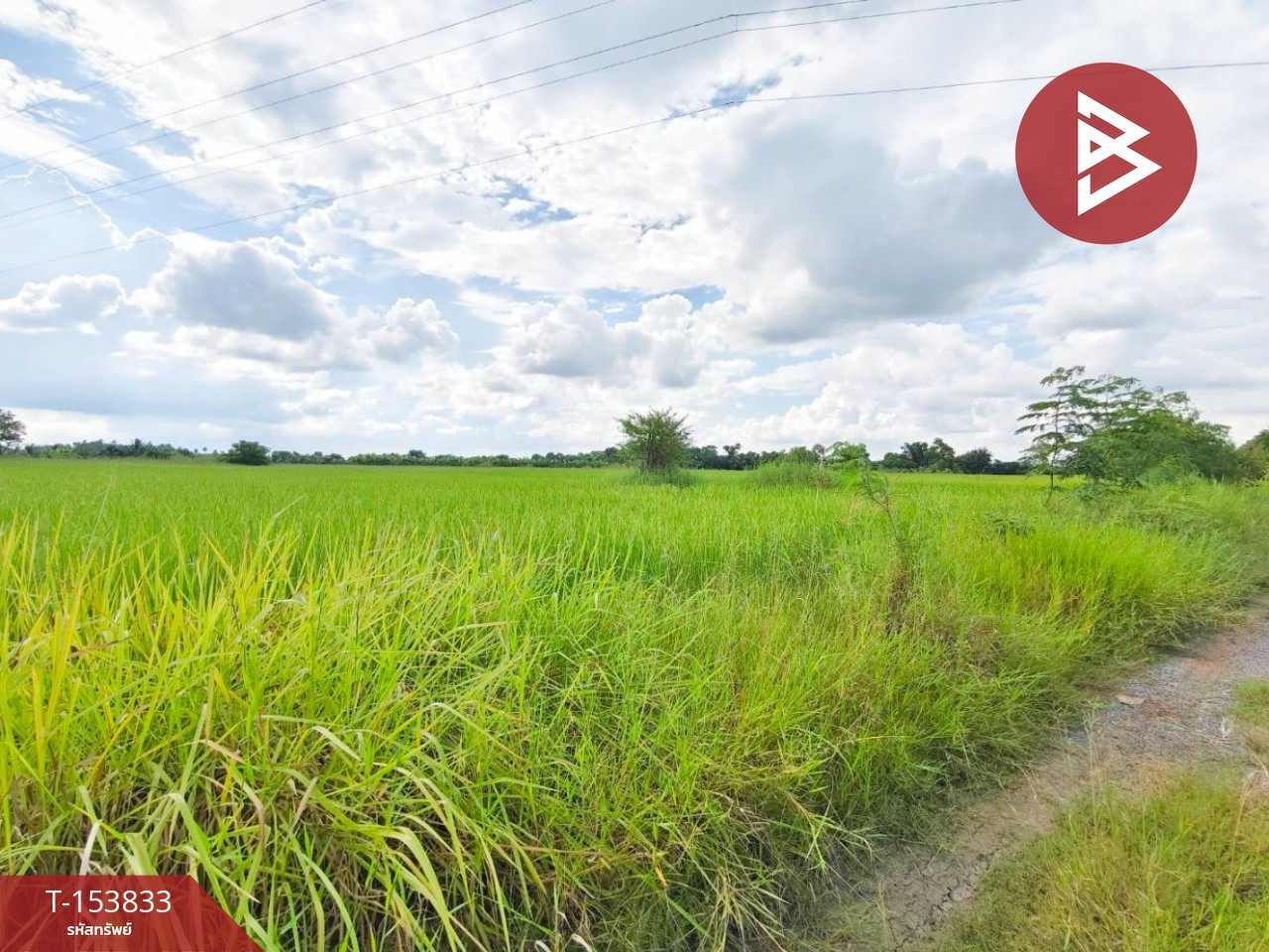 ขายที่ดิน เนื้อที่ 4 ไร่ จอหอ นครราชสีมา