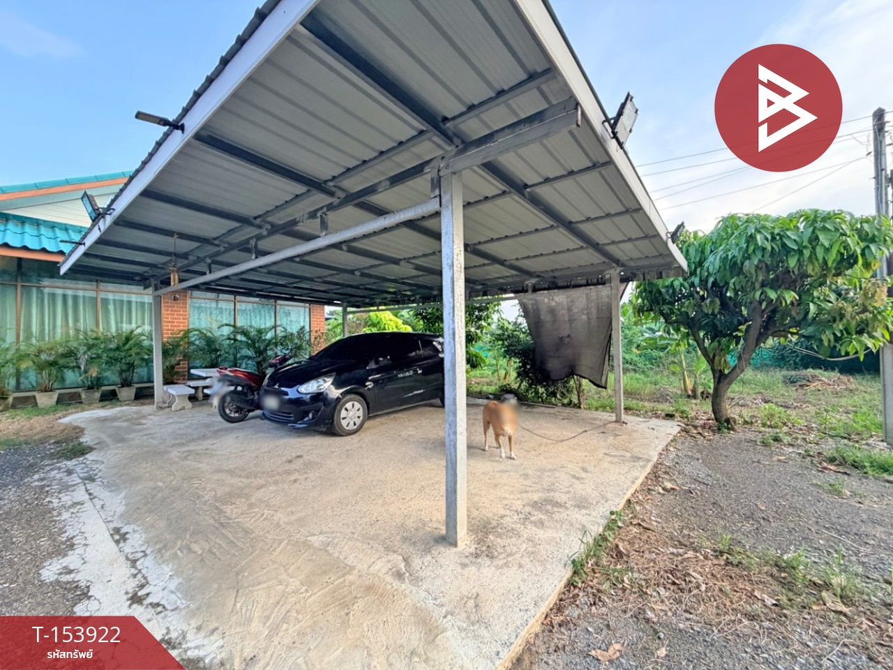ขายบ้านเดี่ยวพร้อมที่ดิน เนื้อที่ 2 งาน กำแพงแสน นครปฐม