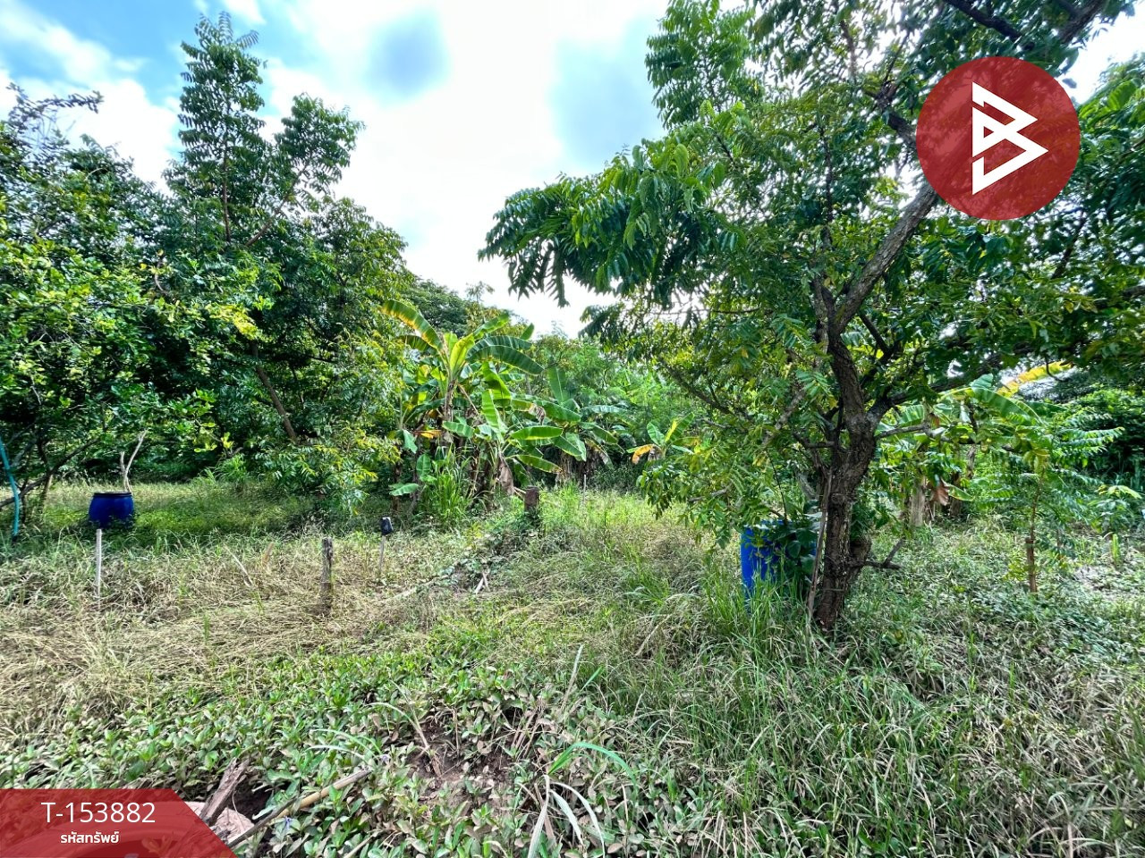ขายที่ดิน เนื้อที่ 18 ไร่ 1 งาน 50.6 ตร.วา สีคิ้ว นครราชสีมา